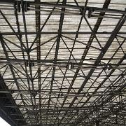IMG 6249