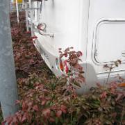 IMG 6285