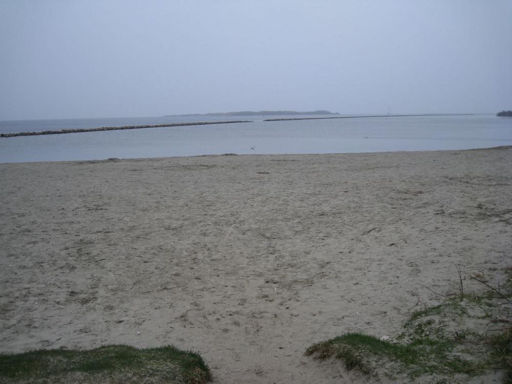 IMG 6367