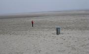 IMG 6372