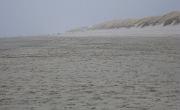 IMG 6375