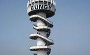 IMG 6449