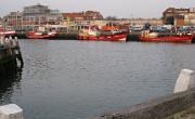 IMG 6461