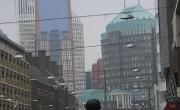 IMG 6479