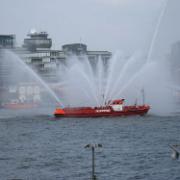 IMG 6810