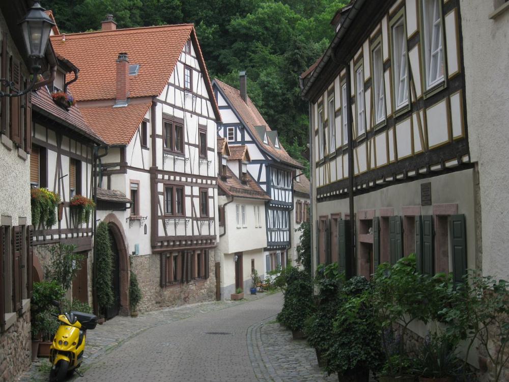 IMG 7505
