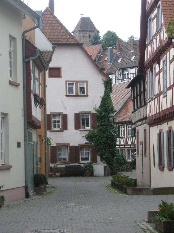 IMG 7510