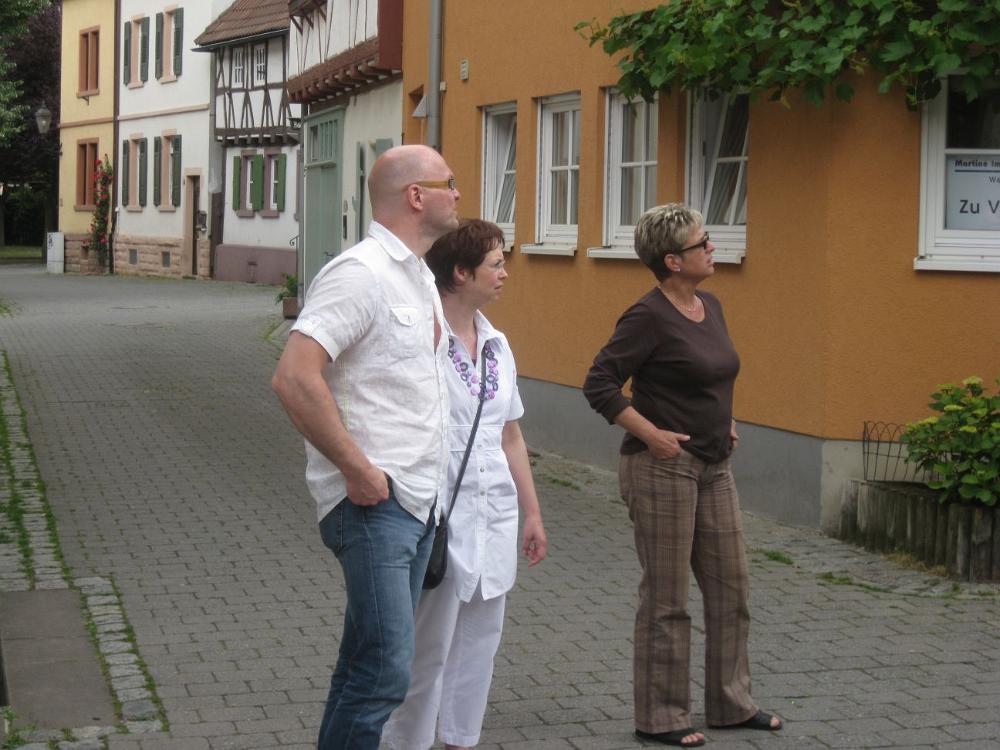 IMG 7513