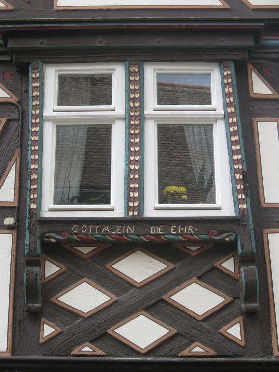 IMG 7517