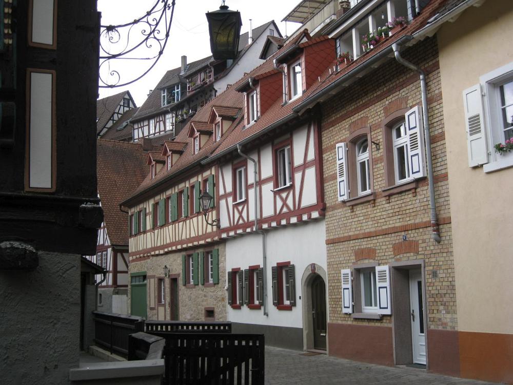 IMG 7518