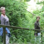 IMG 7409