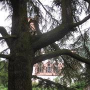 IMG 7463