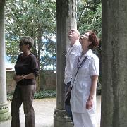 IMG 7482