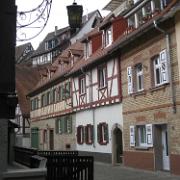 IMG 7518
