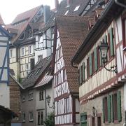 IMG 7519