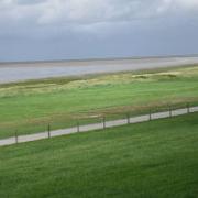IMG 8379