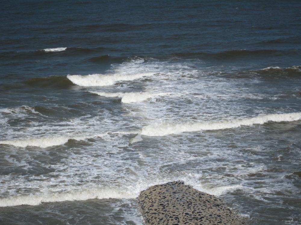 IMG 0092