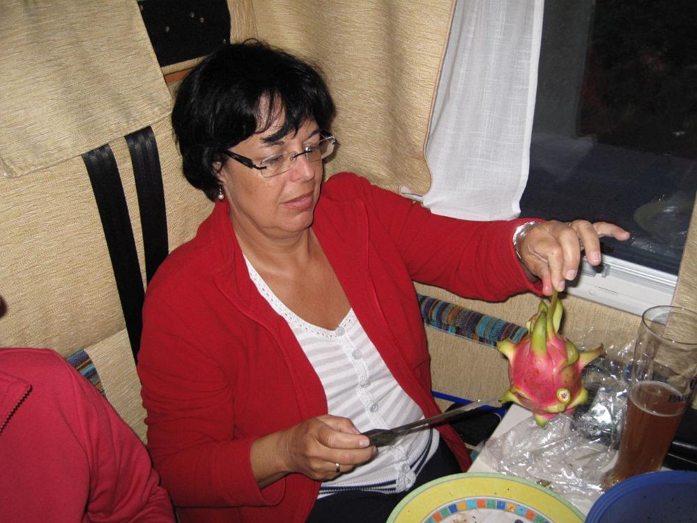 IMG 1041