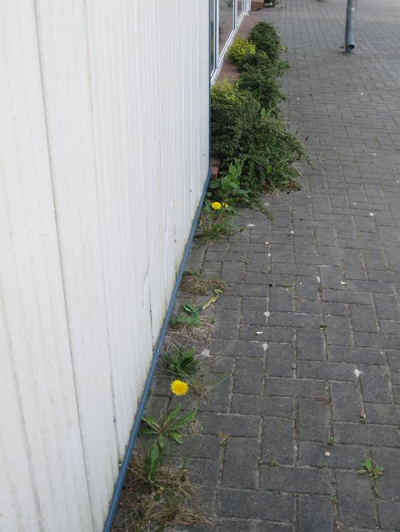 IMG 2760