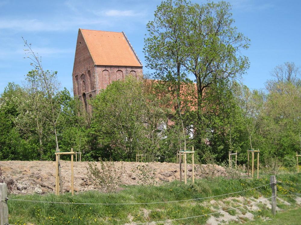 IMG 2765
