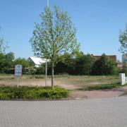IMG 2758