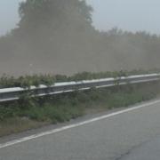 IMG 2772
