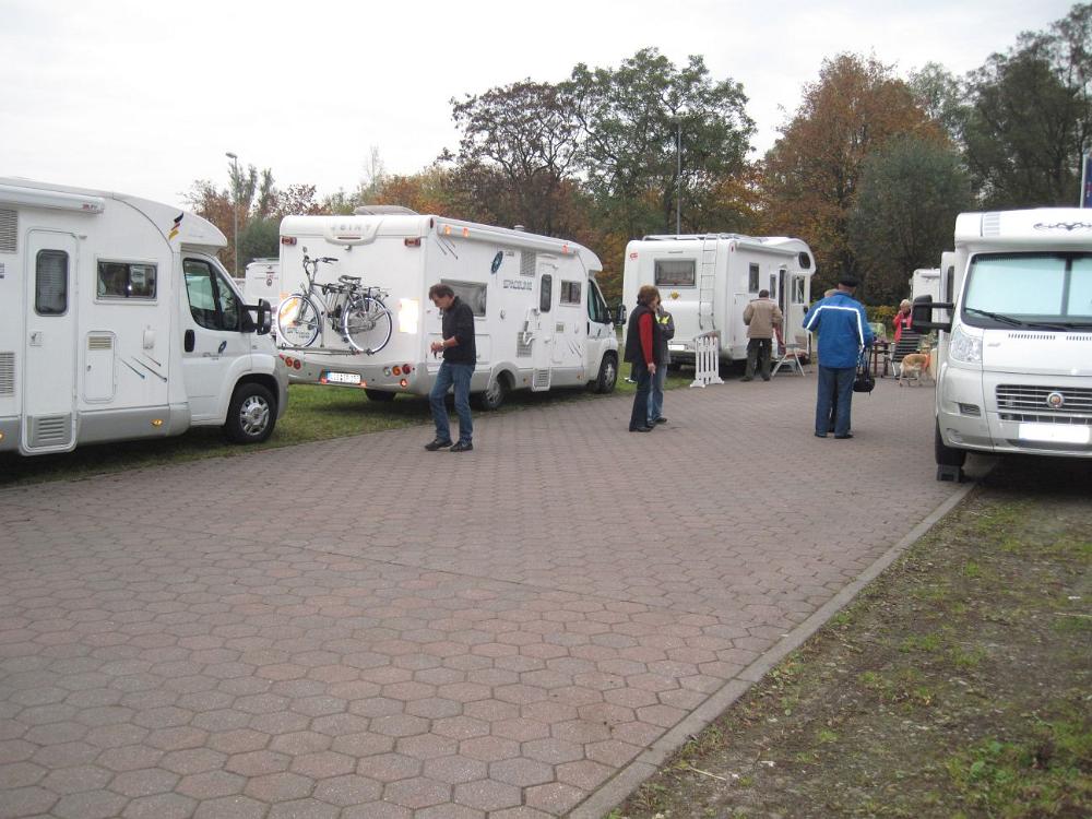 Wedel (41)