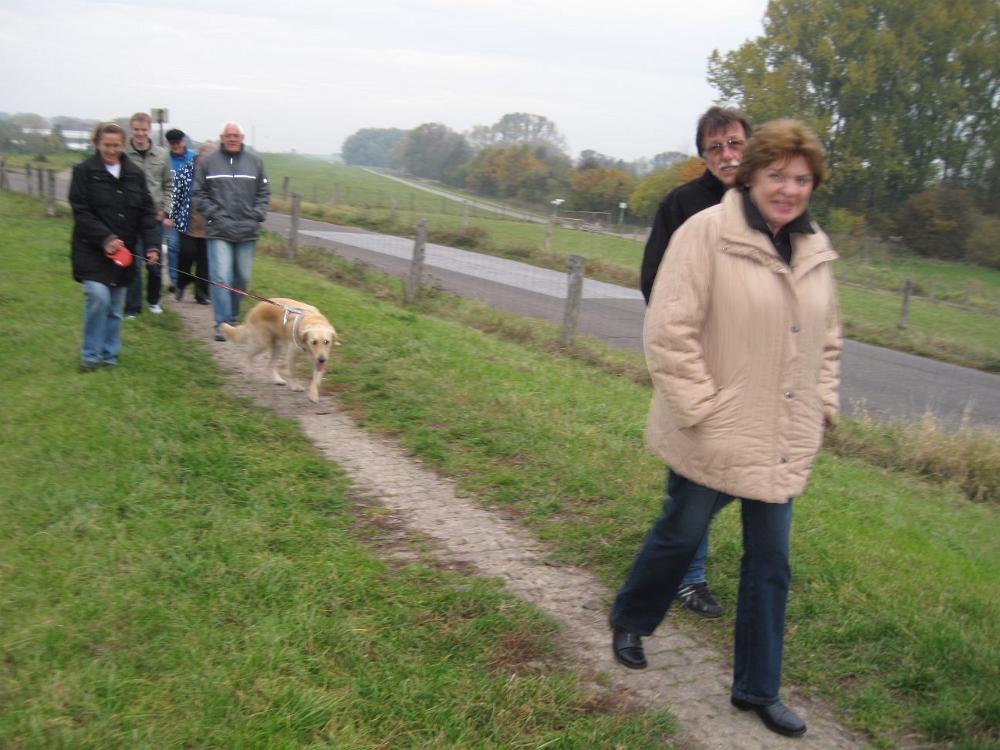 Wedel (45)