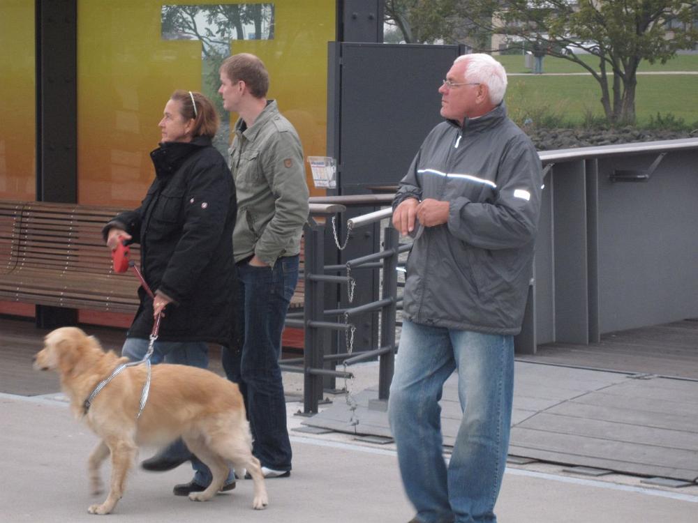 Wedel (52)
