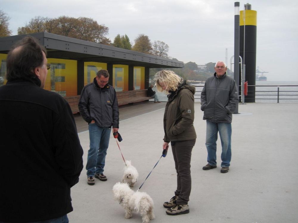Wedel (56)