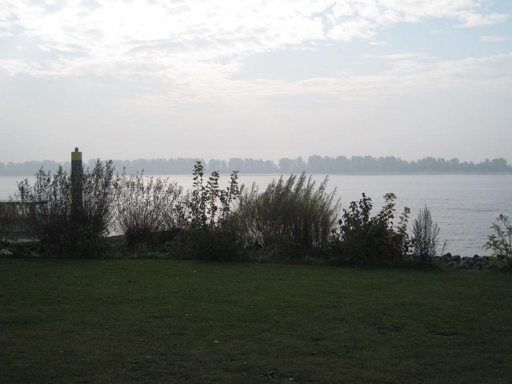 Wedel (6)