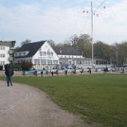 Wedel (5)
