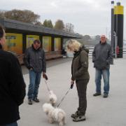 Wedel (56)