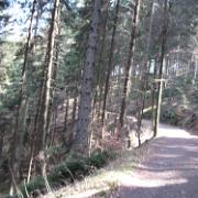 IMG 5717