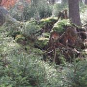 IMG 5720