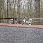 IMG 5428