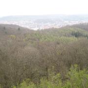 IMG 5429