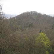 IMG 5433