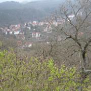 IMG 5443