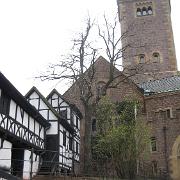 IMG 5445