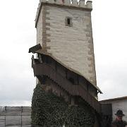 IMG 5449
