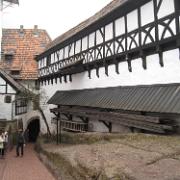 IMG 5450