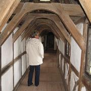 IMG 5464
