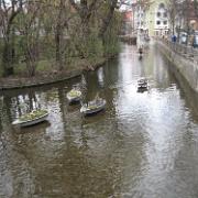 IMG 5506
