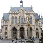 IMG 5515