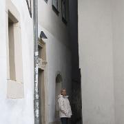 IMG 5519