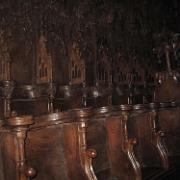 IMG 5528