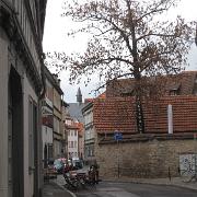 IMG 5562