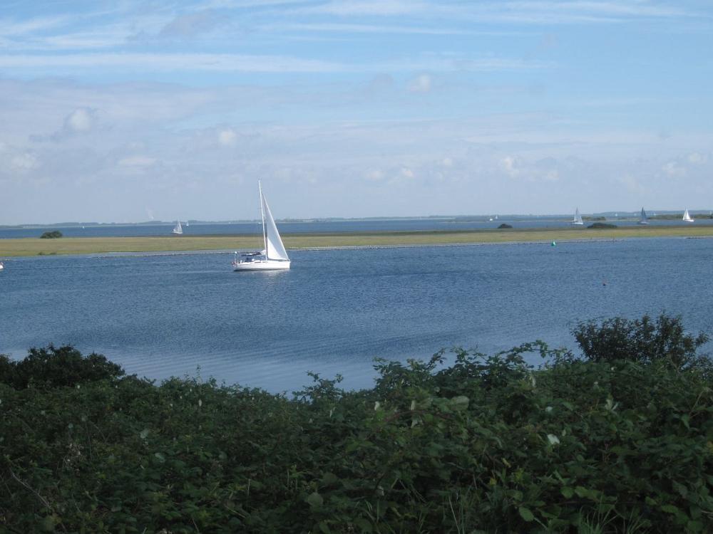 IMG 6803