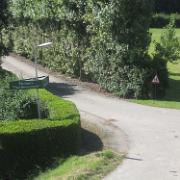 IMG 6796